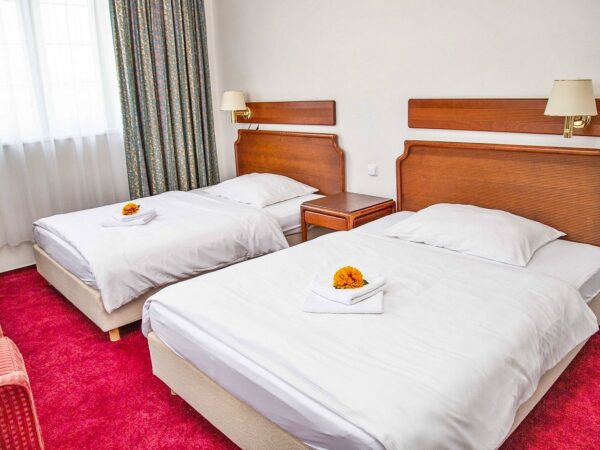 Hotel S-centrum Děčín **** s raňajkami/polpenziou, relaxáciou v saune a vstupenkami na zámok a do zoo + sekt