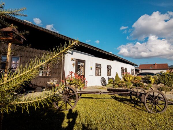 Národný park Šumava v Penzióne Sněžná v štýlových izbách s raňajkami či polpenziou a využitím chladničky