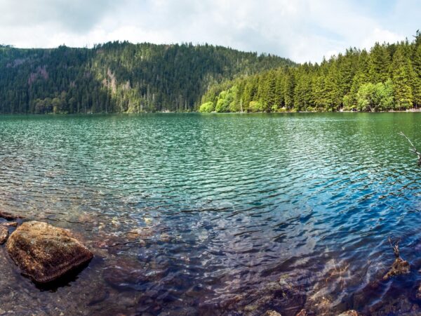 Šumava pri Čiernom a Čertovom jazere v Apartmáne Belvederská až pre 4 osoby + fľaša vína a káva neobmedzene
