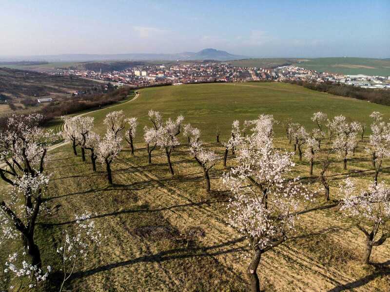 Pobytový balíček hotela Wine Wellness Hotel Amande: Som na dovolenke