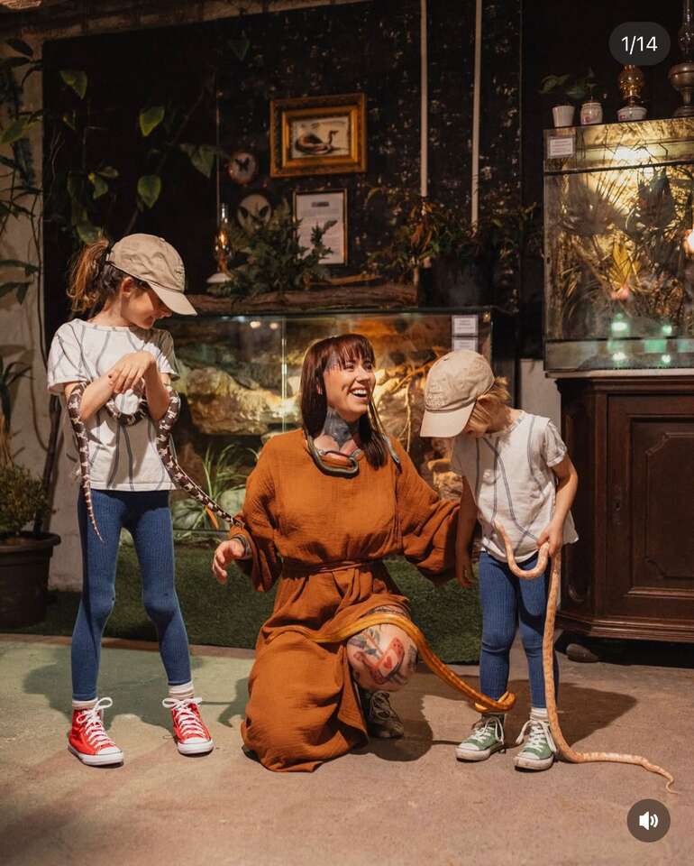 Tropical World - prvá kontaktná ZOO s plazmi na Slovensku v nových väčších priestoroch – Obrázok 4