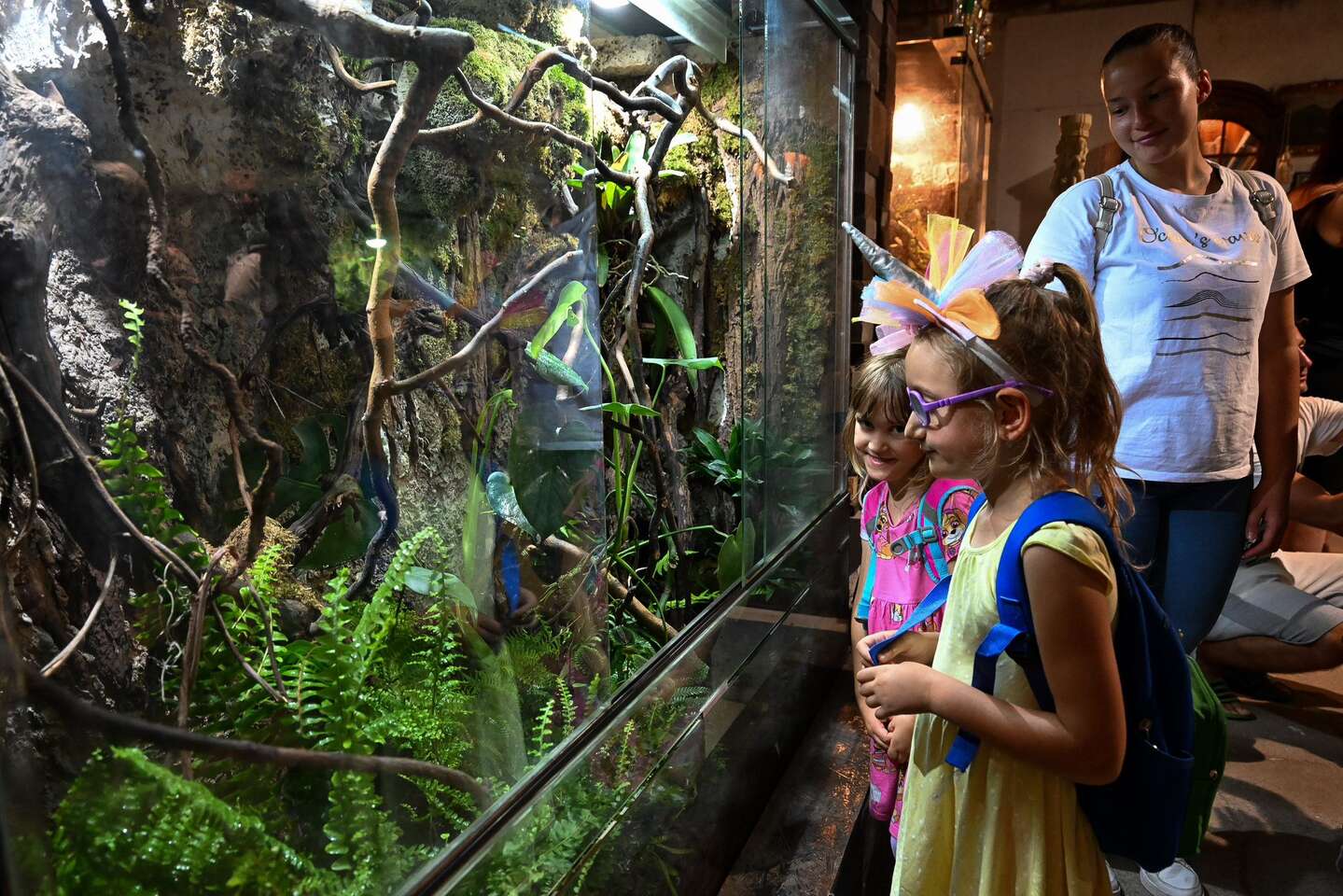 Tropical World - prvá kontaktná ZOO s plazmi na Slovensku v nových väčších priestoroch – Obrázok 3