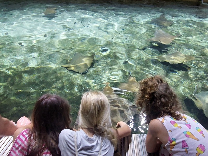 Vonkajšia únikovka v Zoo Lešná: Až 6 hráčov – Obrázok 6