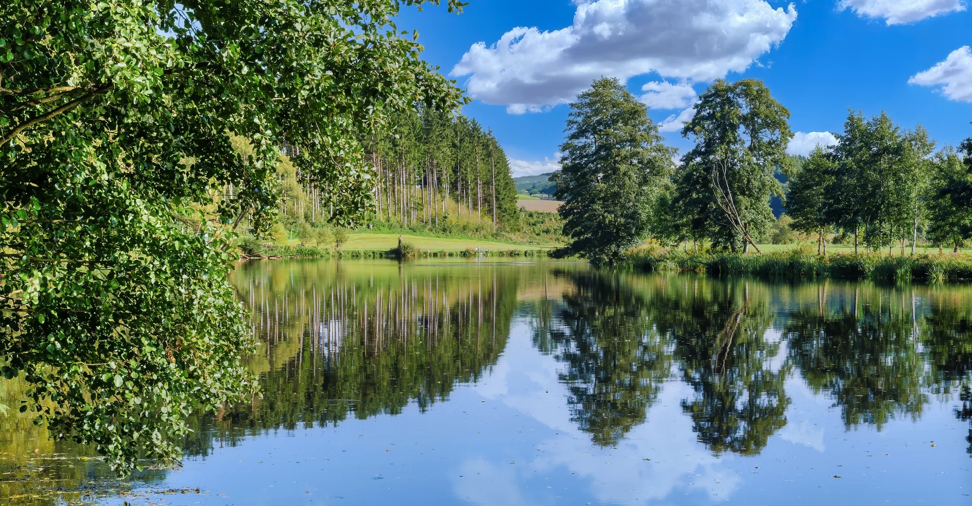 Pobyt v Bavorskom lese: light all inclusive, wellness aj karta výhod – Obrázok 2