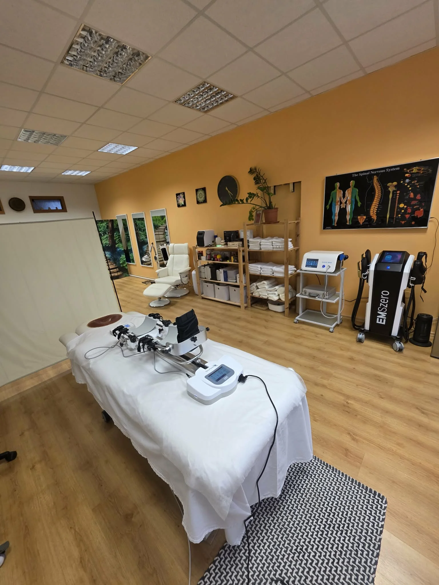 SIS: Prístrojová terapia na liečbu pohybových a nervových ochorení – Obrázok 6