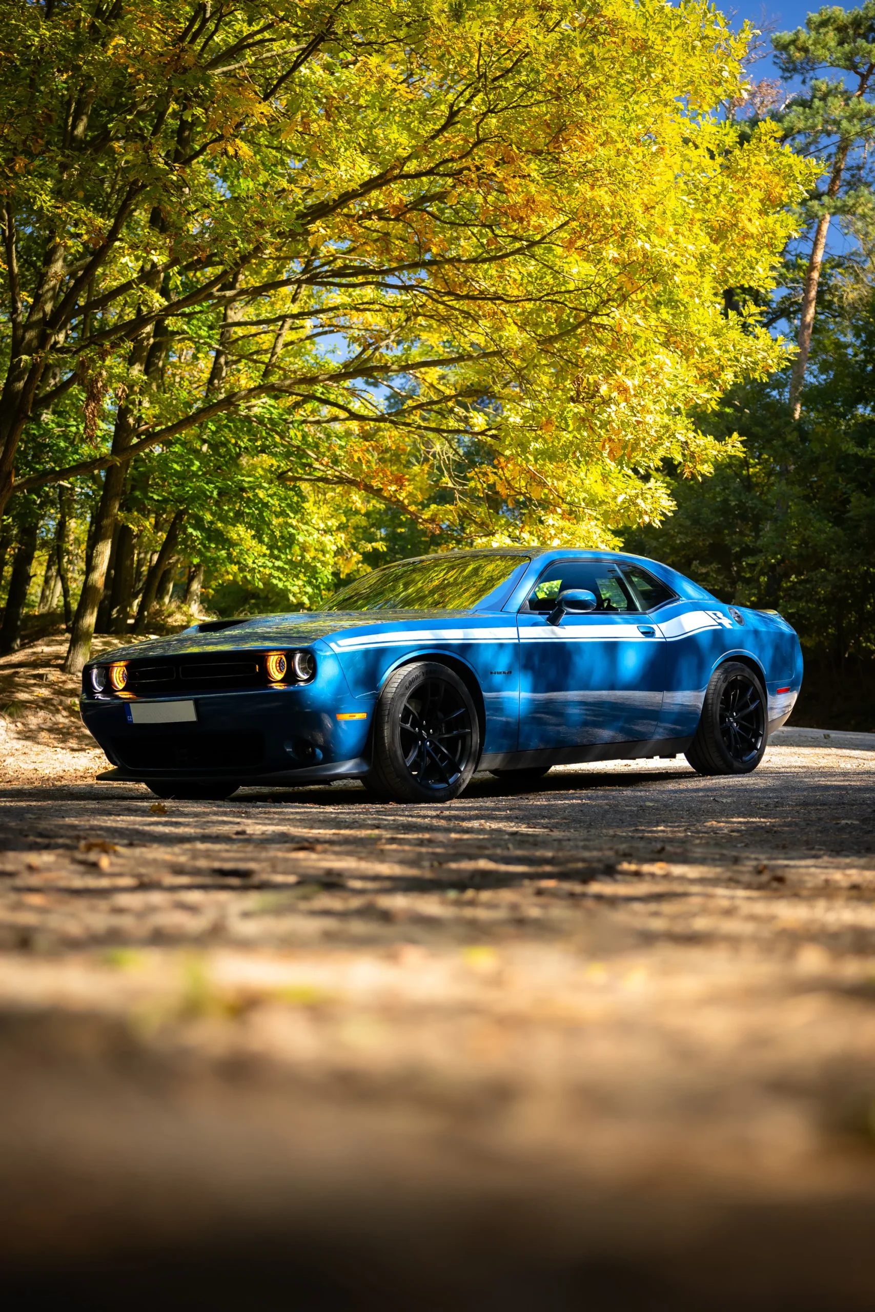 Prenájom legendárnej klasiky Dodge Challenger od 60 minút až na celý víkend – Obrázok 4