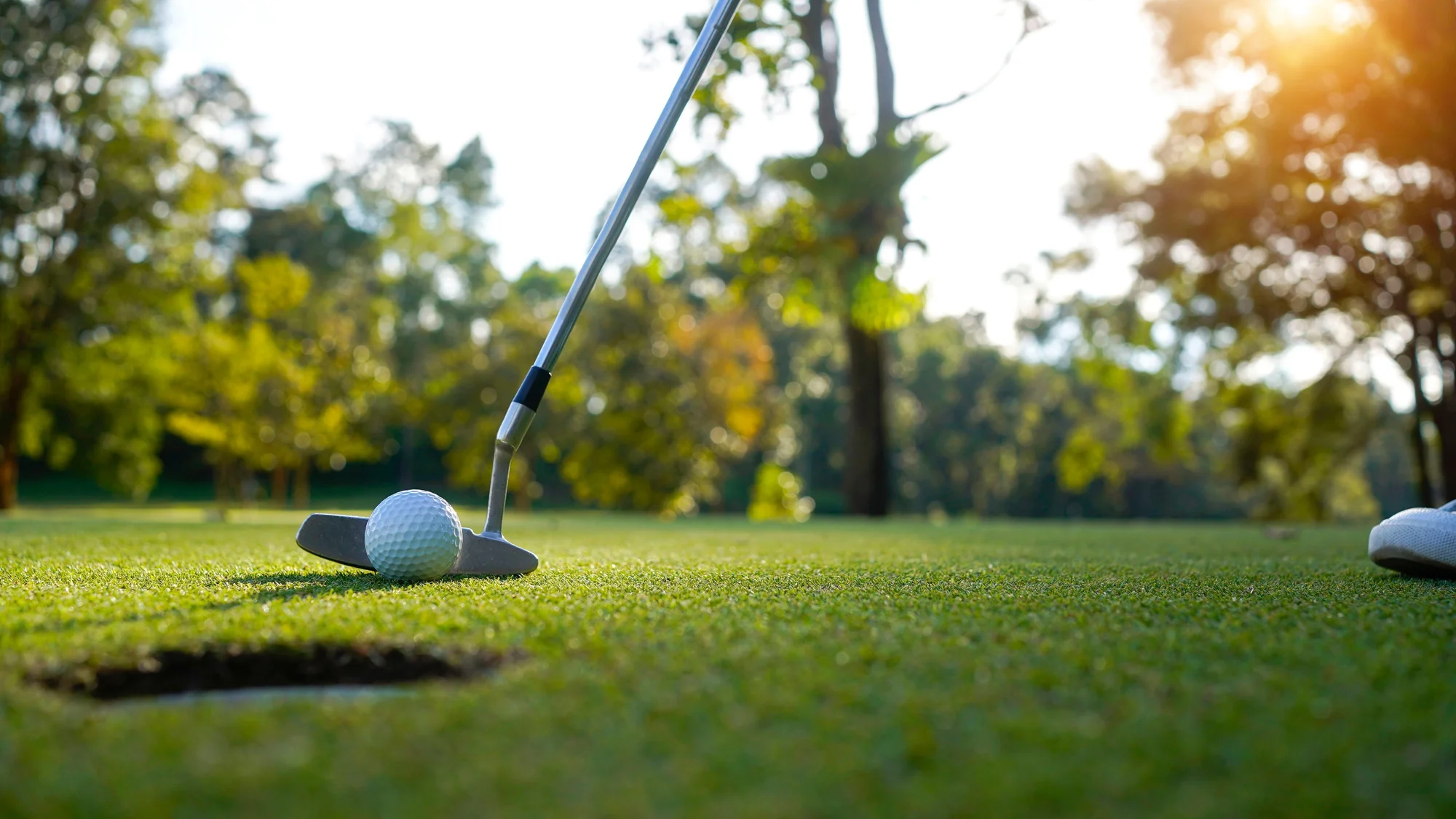 Golfový kurz na získanie Zelenej karty v Apex Golf Club – Obrázok 4