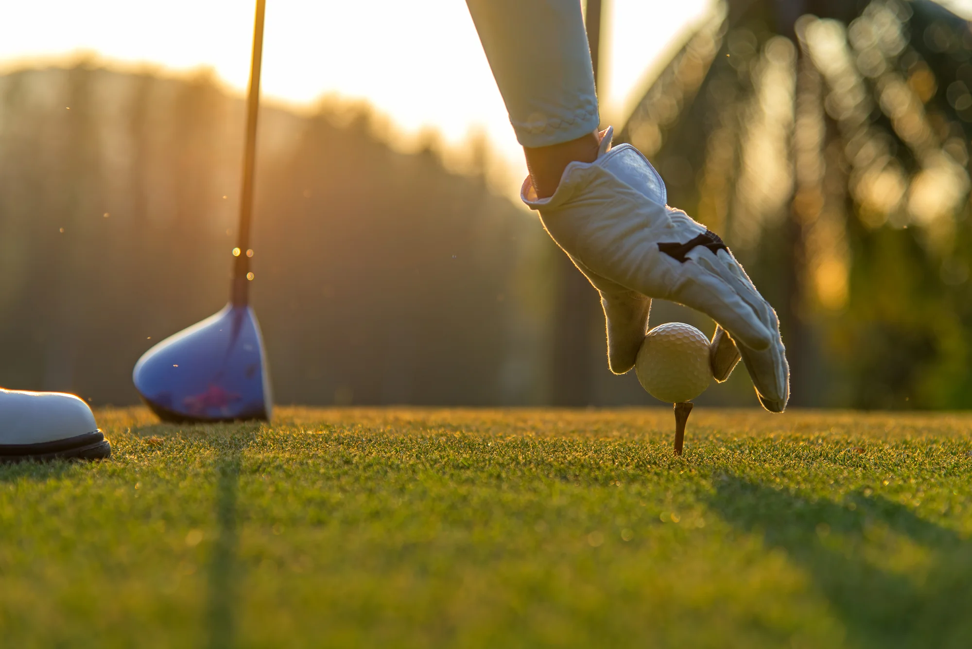 Golfový kurz na získanie Zelenej karty v Apex Golf Club – Obrázok 3