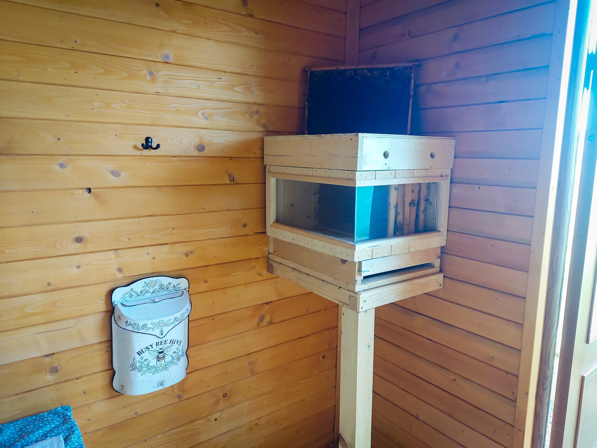 Včelí wellness: Relax v apidomčeku s blahodarnými účinkami pre zdravie – Obrázok 6