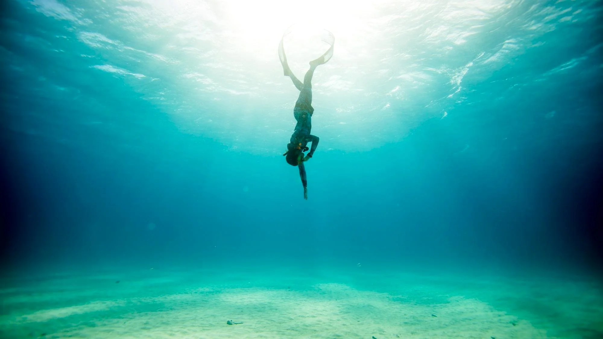 Freediving alebo prístrojové potápanie vo forme individuálneho kurzu, ochutnávky či výcviku – Obrázok 3