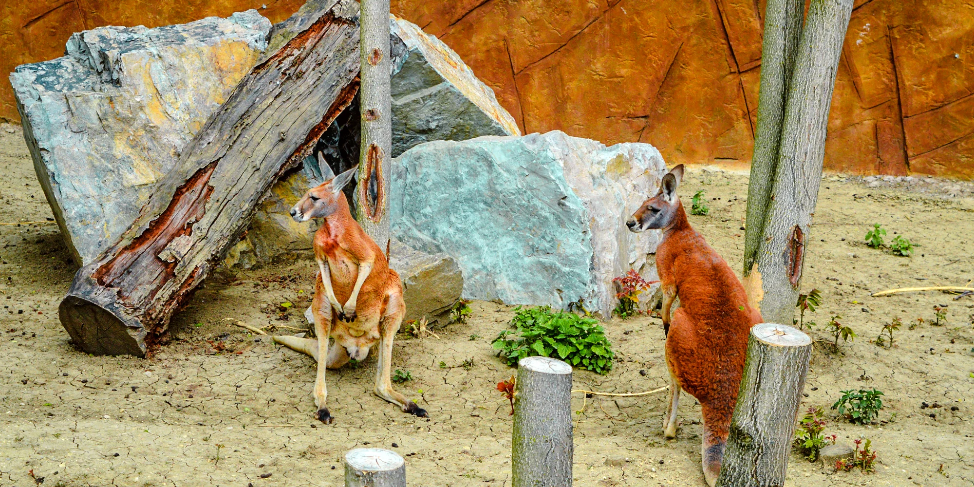 Jedinečný pobyt v "Eko Parku Piešťany" s raňajkami a možnosťou vstupu do kontaktnej ZOO – Obrázok 2