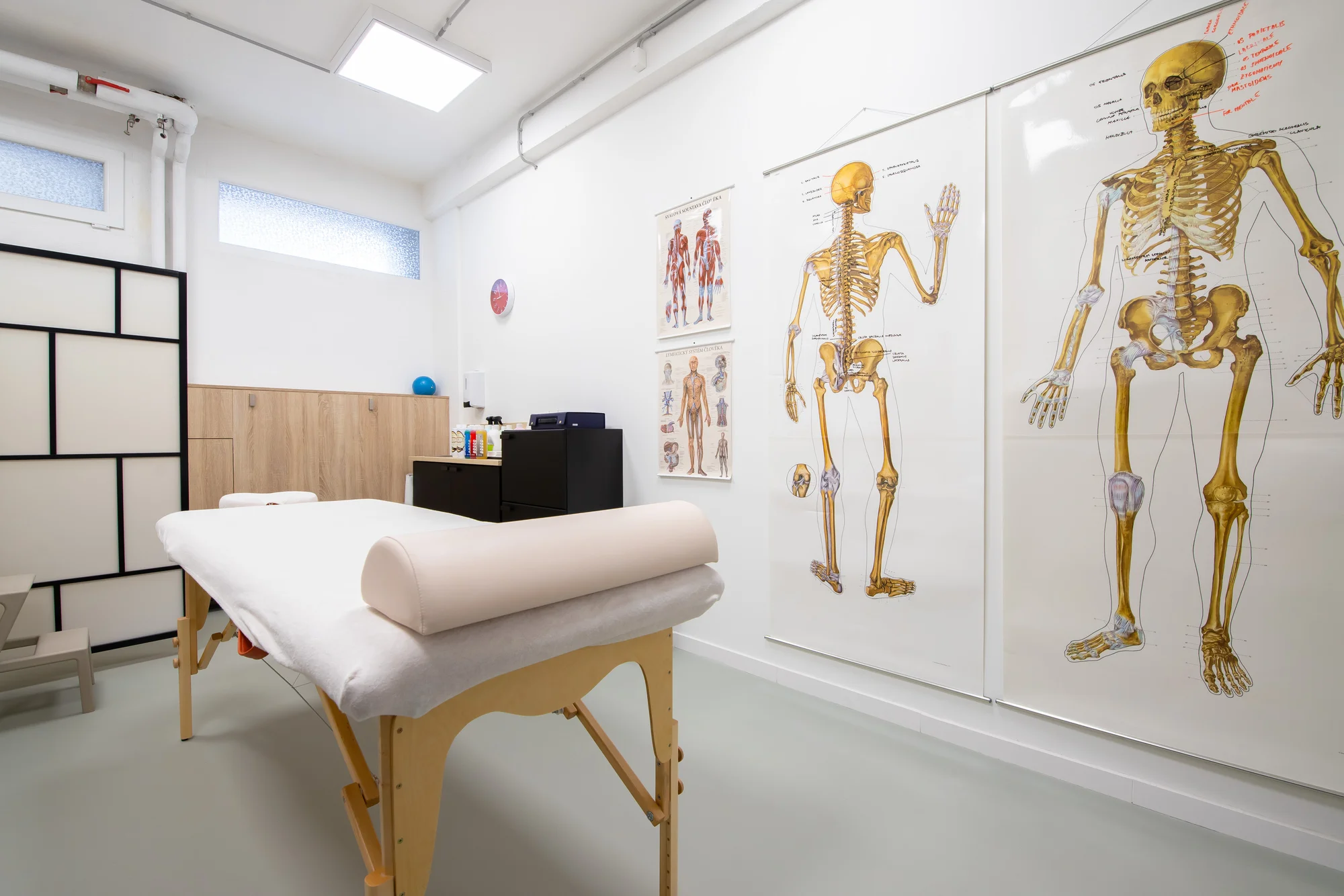 Klasická alebo terapeutická masáž či diagnostika pohybového aparátu – Obrázok 3