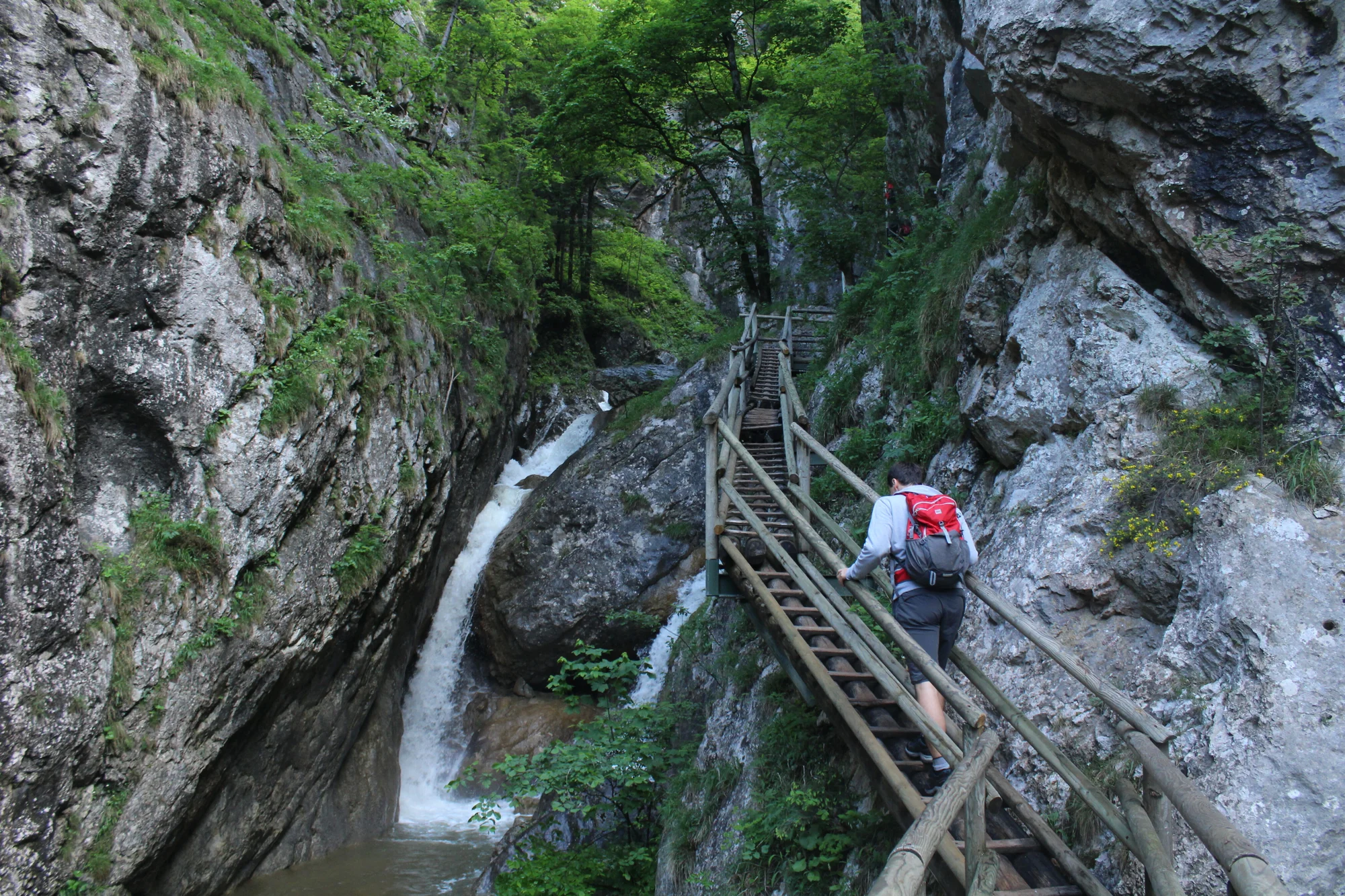 Zájazd na Medvediu roklinu: zážitková turistika v Rakúsku! – Obrázok 6