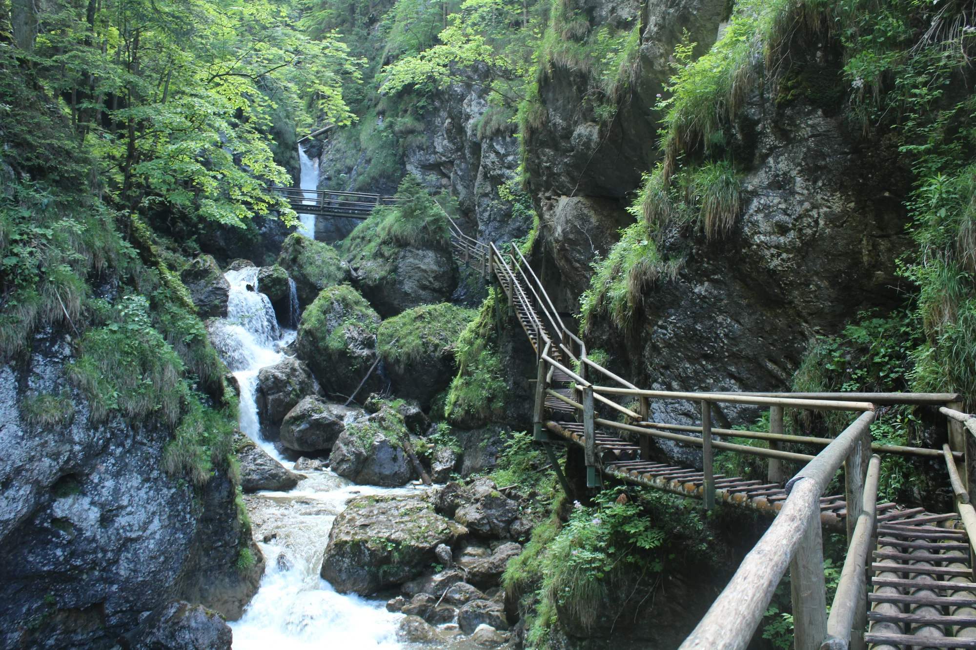 Zájazd na Medvediu roklinu: zážitková turistika v Rakúsku! – Obrázok 5