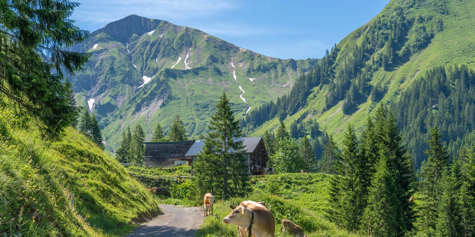 Dachstein s neobmedzeným wellness a Dachstein s neobmedzeným wellness a raňajkami – Obrázok 2