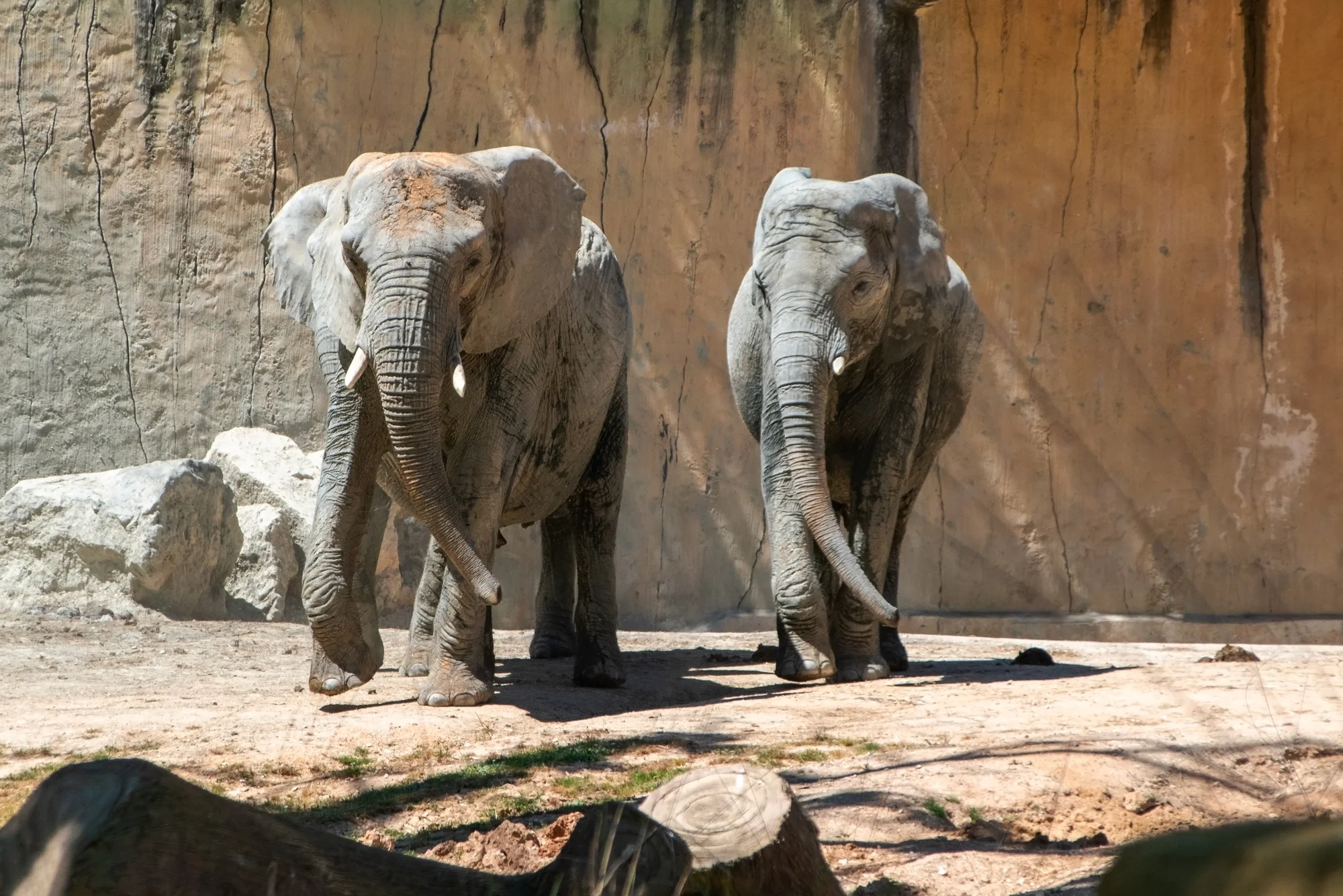Pobyt v centre Mníchova: 4* hotel s raňajkami, wellnessom aj vstupom do zoo – Obrázok 4