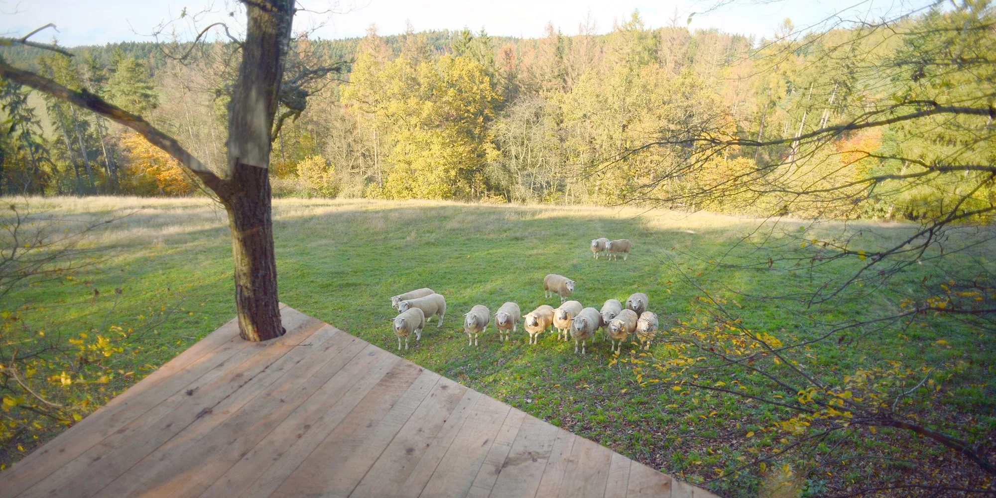 Romantika s výhľadom na ovčiu pastvinu: treehouse s krásnym krbom len pre vás dvoch – Obrázok 4