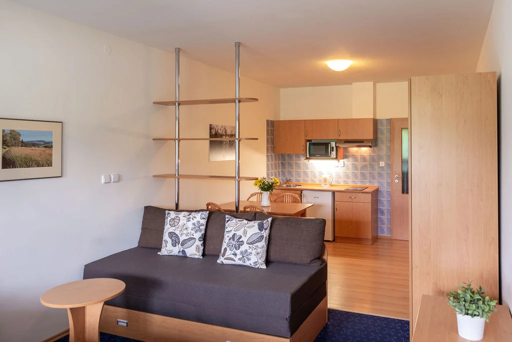 Apartmány v Božom Dare: neobmedzený aj privátny wellness, možnosť raňajok – Obrázok 5