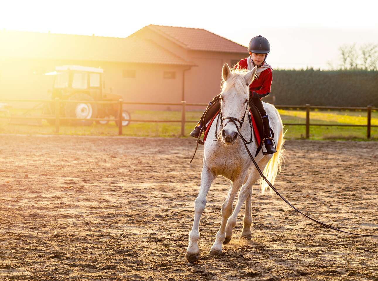 OBĽÚBENÉ: Lekcie jazdenia na koni s inštruktorom pre deti aj dospelých v Bratislave