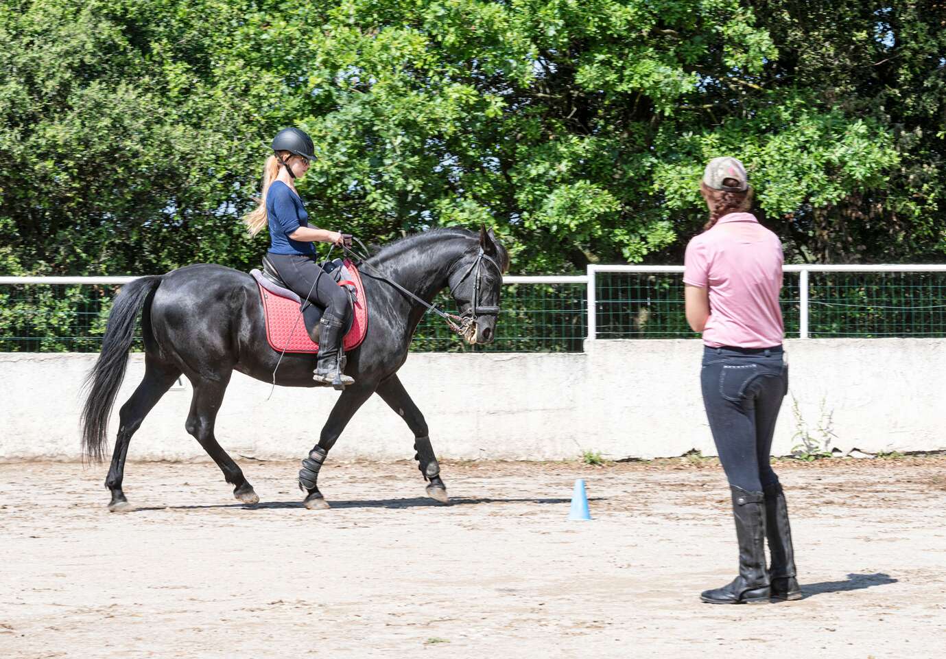 OBĽÚBENÉ: Lekcie jazdenia na koni s inštruktorom pre deti aj dospelých v Bratislave