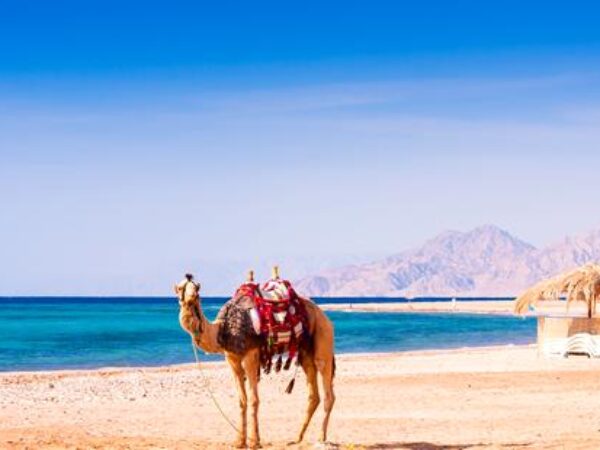 LAST MINUTE Egypt z Bratislavy-5*Gemma Resort