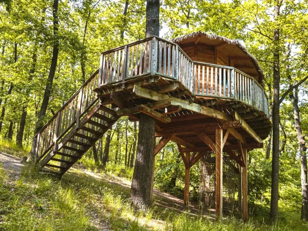 Treehouse na okraji Brna: ubytovanie v súlade s prírodou aj úniková šifrovacia hra pre zábavu
