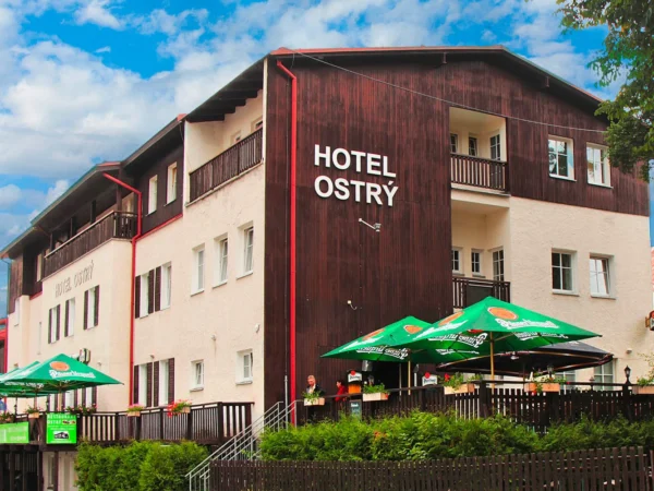 Novo zrekonštruovaný hotel na hranici Šumavy: izba alebo apartmán