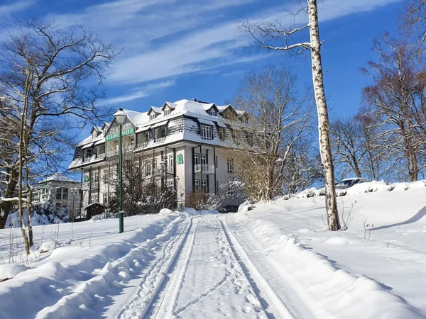 Pohoda v Sasku: 4* hotel s raňajkami aj polpenziou, neobmedzený wellness, výlety do prírody