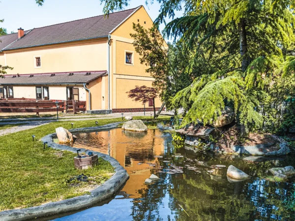 Pobyt na farme s koňmi, prasiatkami aj ovcami kúsok od Mosteckého jazera aj vrátane raňajok