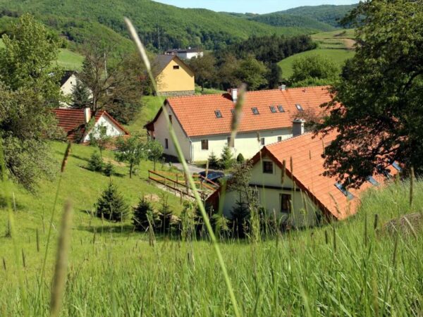 Rodinný Penzión Kremenisko v blízkosti Štiavnických vrchov s raňajkami alebo polpenziou