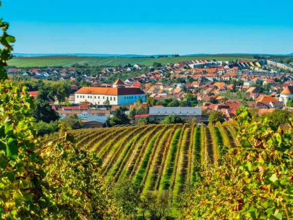 Za vínom a históriou na Moravu: prehliadka pivníc Templárske sklepy spojená s degustáciou, bylinkový raj, rodný dom T. G. Masaryka a ďalšie