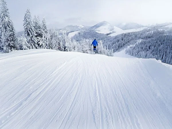 Celodenný skipas do lyžiarskeho strediska SKI MLYNKY GUGEL