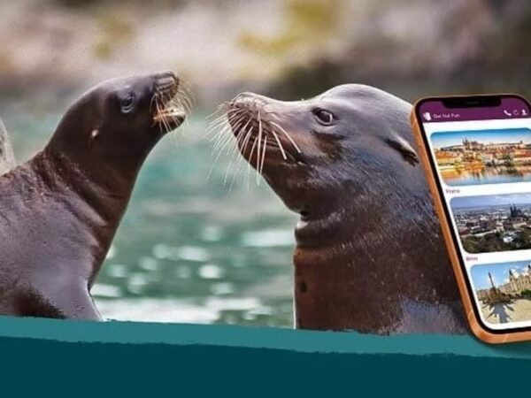 Vonkajšia únikovka v Zoo Lešná: Až 6 hráčov