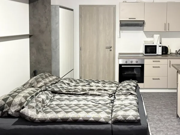 Dovolenka v Krušných horách: pobyt v plne vybavenom apartmáne, 20 min. jazdy od Klínovca