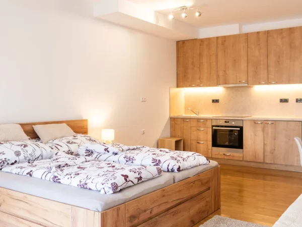 Apartmány v centre Poděbrad aj vrátane raňajok, procedúr, kúpeľa a masáže