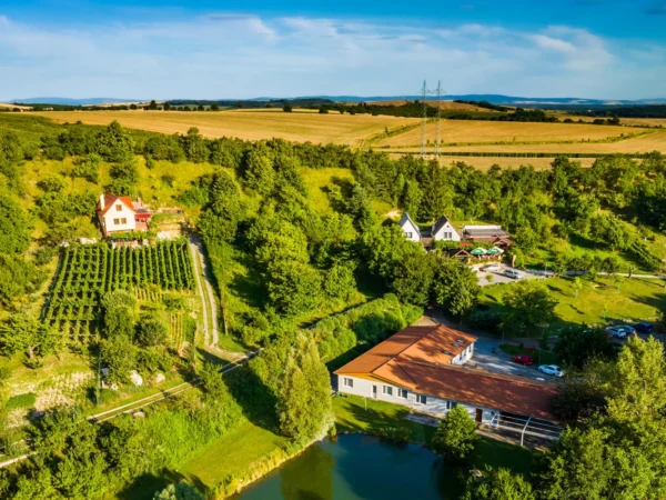 Pobyt vo vinárstve na južnej Morave: jedlo aj neobmedzené víno, pobyt s jogou alebo degustačným menu
