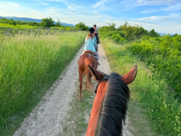 Prechádzka na koni s inštruktorom v Šenkviciach – len 10 min. od Pezinka
