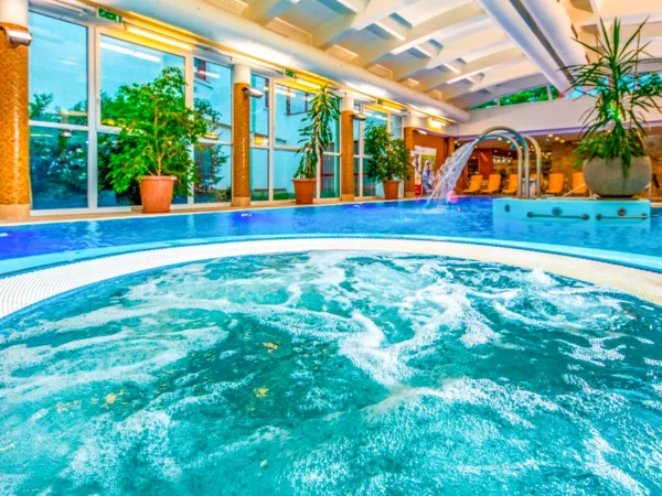 Maďarské Harkány: Polpenzia plus aj vstupy do termálnych kúpeľov či hotelového wellness