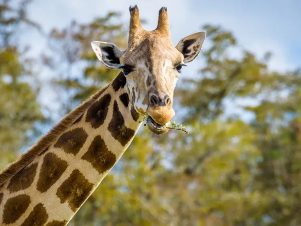 Zažite v Budapešti deň plný exotiky a dobrodružstva: Zájazd do ZOO a morského akvária Tropicarium