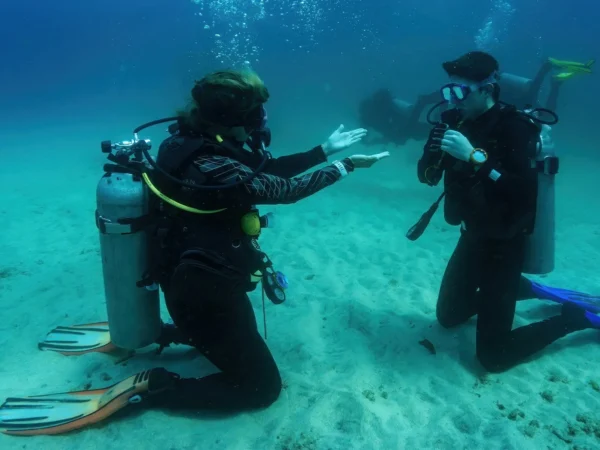 Freediving alebo prístrojové potápanie vo forme individuálneho kurzu, ochutnávky či výcviku