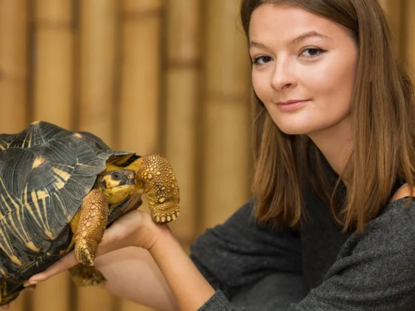 VIP prehliadka suchozemských korytnačiek v KROKODÝLÍ ZOO v Prahe pre 1 či 2 osoby