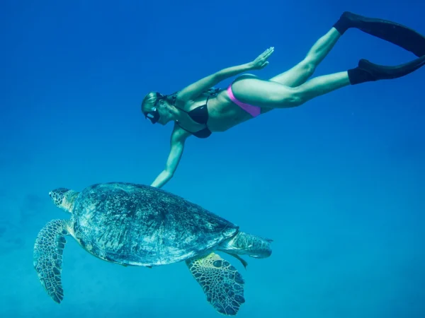 Kurz freedivingu v unikátnom prostredí areálu AQUAREA na Čiernej Vode