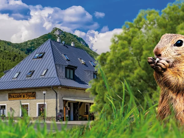 Rodinný penzión pri Muránskej planine – raňajky, privátny wellness, Obrovisko aj múzeum Litterra