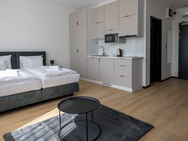 Centrum mesta Miškolc: pobyt v apartmáne s raňajkami