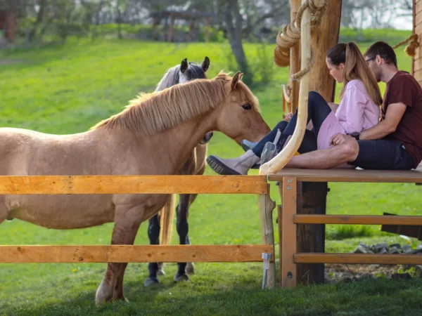 Pobyt medzi zvieratkami na ranči: karavan, chatka alebo maringotka, mini zoo, kone a možnosť raňajok