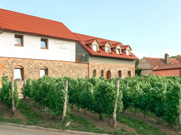 Dovolenka na juhu Moravy pre milovníkov vína: degustácia s neobmedzenou konzumáciou vína aj raňajky