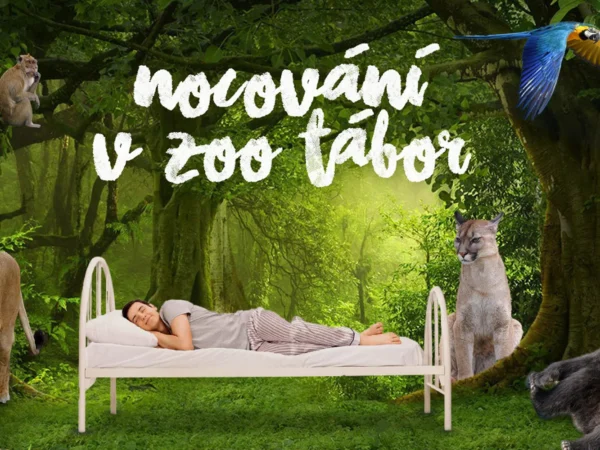 S rodinou za zážitkami: netradičný pobyt na 1 noc v táborskej zoo