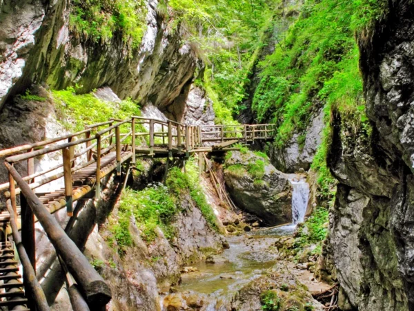 Zájazd na Medvediu roklinu: zážitková turistika v Rakúsku!