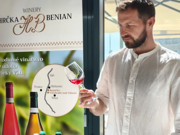 Profesionálna degustácia vín – 10 vzoriek s výkladom od skúseného vinára
