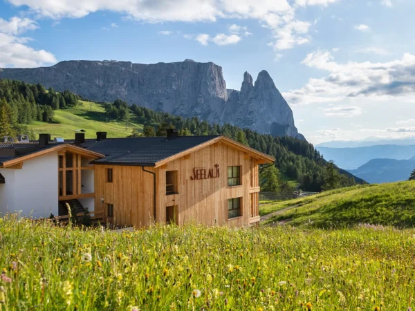 Poďte za krásami Dolomitov: pobyt v 4* hoteli Seelaus s neobmedzeným wellness a regionálnou polpenziou